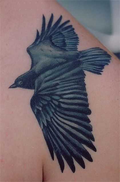 tatu_voron-84