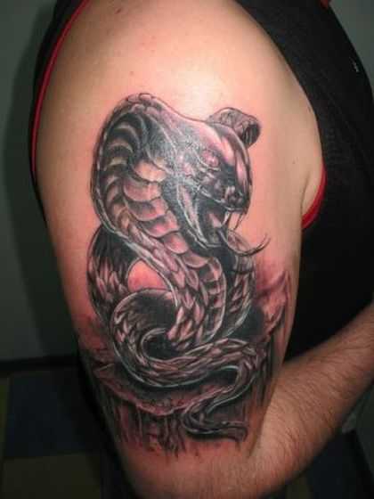 tatu_zmeya-135