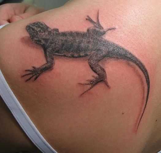 tatu_zmeya-150