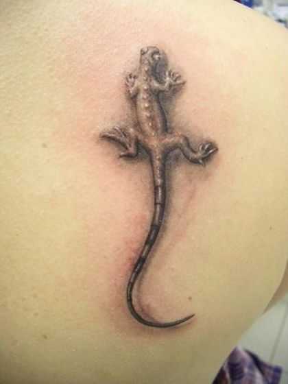 tatu_zmeya-152