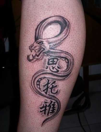 tatu_zmeya-164