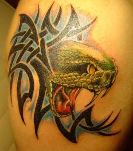 tatu_zmeya-202