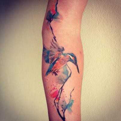 tatu_akvarel-116