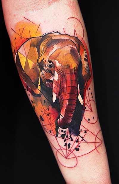 tatu_akvarel-136