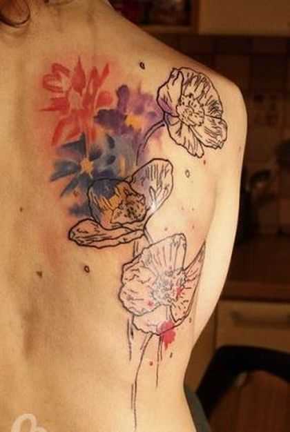 tatu_akvarel-14