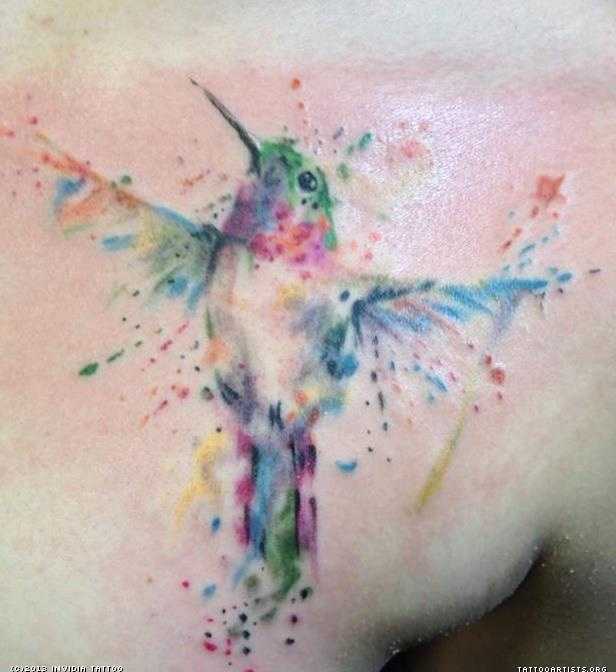 tatu_akvarel-165