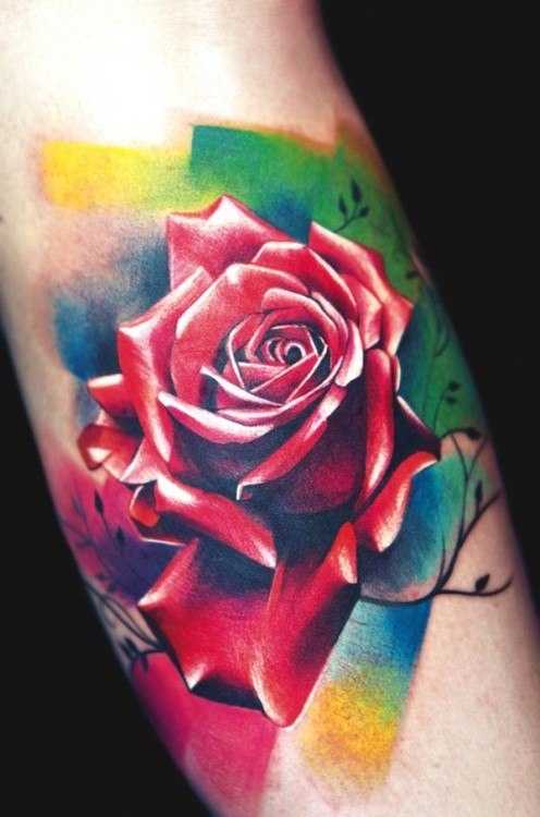 tatu_akvarel-206