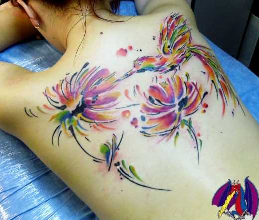 tatu_akvarel-211