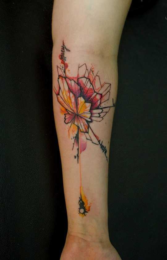 tatu_akvarel-218