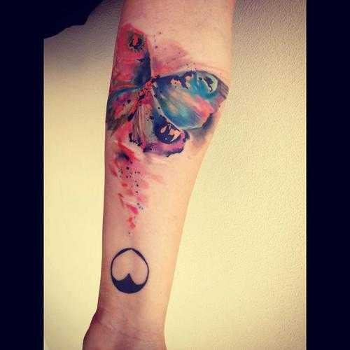 tatu_akvarel-219