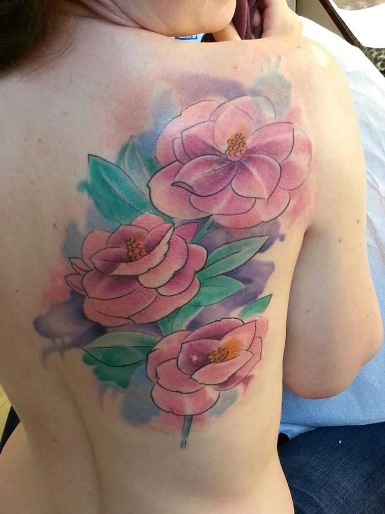 tatu_akvarel-22