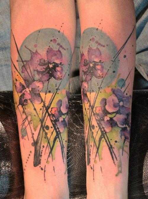 tatu_akvarel-246