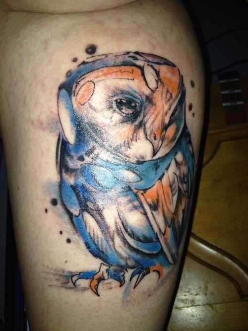 tatu_akvarel-248