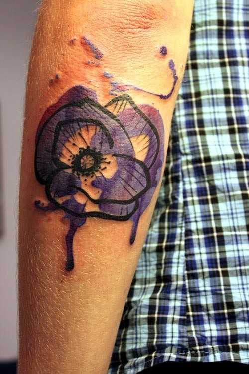 tatu_akvarel-266