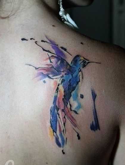 tatu_akvarel-71