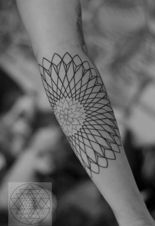 tatu_geometr-312